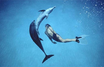 Disney veut transformer le documentaire Dolphin Boy en un film narratif